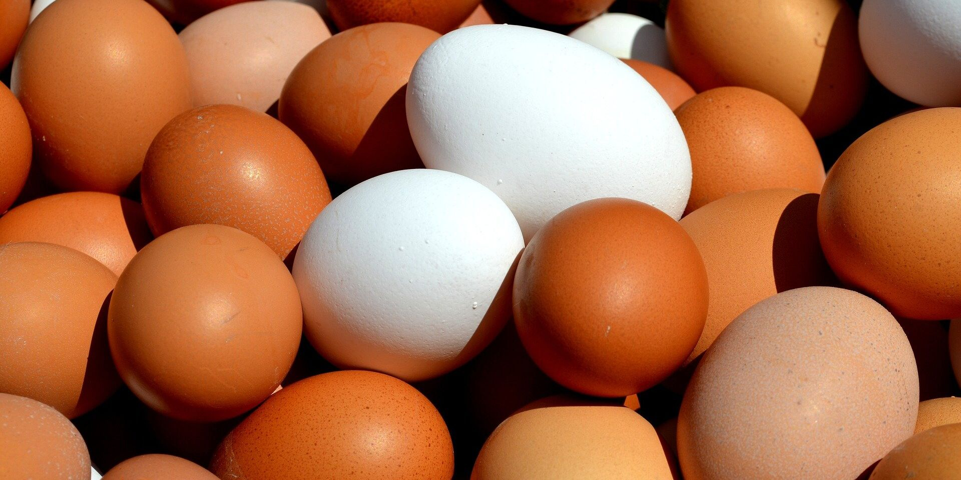 Сертификация яиц в Нальчике — продукция для оценки соответствия